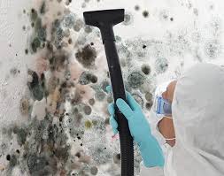 Forensic Mold Investigation in West Haverstraw, NY